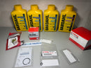 Kit Manutenzione 100 ore ufficiale Yamaha Selva F40HET e Selva Dorado Con Lubrificanti Bardahl Premium