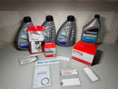 Kit Manutenzione 100 ore ufficiale Yamaha Selva F40HET e Selva Dorado Con Olio Motore e Piede