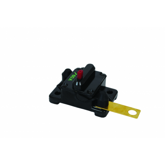 Magnetotermico 60 amp originale Motorguide