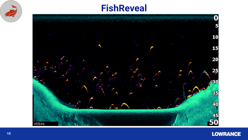 Ecoscandaglio/gps Hook Reveal 5 - Lowrance