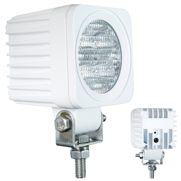 AquaLED Faro proiettore a bianco 12W 12&24V IP67